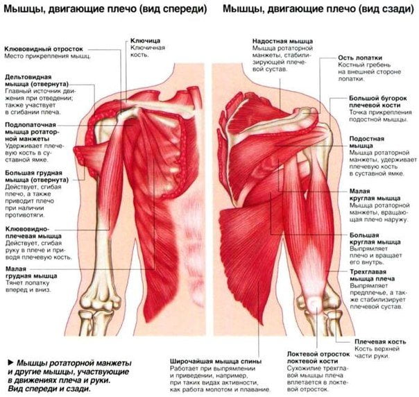 Чем снять болевой синдром в плечевом суставе