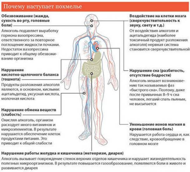 Механизм состояния похмелья